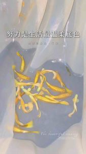 24K Golden Full Scale Guppy Pair|24k满麟黄金孔雀鱼|High Grade 100% 1male +1Female