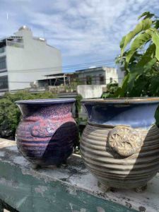 Chậu trồng cây sen đá/xương rồng xuất Hàn 18cm🌱