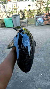 spakbor depan cb 150r old karbon forget