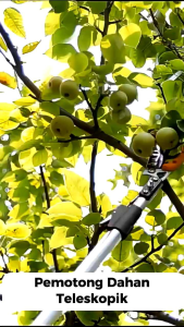 Gunting Telescobtarik Dahan: Alat Pemotong Dahan Praktis