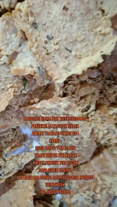 tempe kripek nafiqoh snack eco