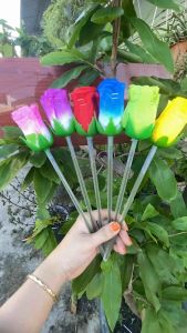 100bông lớn làm showđám tiệc