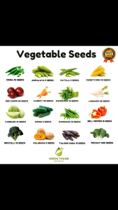 VEGETABLE SEEDS /Kangkong Carrot Sitaw (Mustasa Pechay)