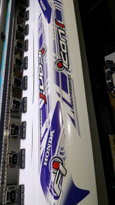 Striping Beat Fi ESP 2017 & 2019 Icon Cyber