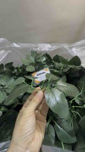 Sét 50-100gr Lá Hoa Hồng nhánh 6 lá In Gân Lá Điểm Trang Trí Nhựa Loại Đẹp Lá Điểm Decor Hoa