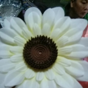 เซ็ต 1 ชุด เครื่องประดับทองกวาดอกทานตะวัน เครื่องประดับแฟชั่นนางรำ งานผลิด เครื่องประดับ