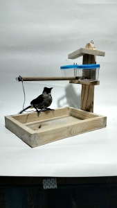 sangkar burung tempel mini