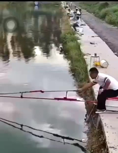 Ngoe hố đấu tự đóng cá cao cấp ( Tặng kèm phụ kiện)