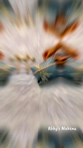 (TERBARU) Mukena Silk 2in1 Resleting Mukena Cantik Adem Mukena Dewasa