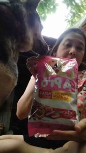 อาหารสุนัข Apro 1 กิโลกรัม อาหารเม็ด เอโปร อุดมด้วยสารอาหารจำเป็นที่สุนัขต้องการ