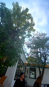 [MOTIF TERBARU] Sarung Batik Az Zahir Pekalongan Warna Soft Colours Terlaris