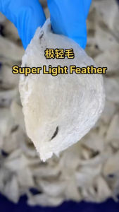【HAOWO】10g Dried Raw Bird’s Nest Sarang Burung Walit Asli 足干 毛燕 燕窝 纯天然无加工挑毛