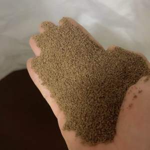 1 Kg Thức Ăn ( mảnh) Cho Cá 7 Màu Cá Betta Cá neon cá chuột cá Trâm Ớt mini tam giác vây xanh notho ngựa vằn cá Otto Ngọc trai tôm kiểng nhỏ…. Và các loại cá kiểng cần ăn thức ăn hạt nhỏ khác.