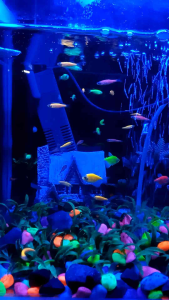 Biru Lampu Led Aquarium Jepit Kabel Usb