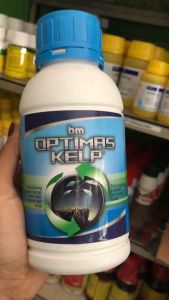 Basfoliar Kelp Premium 500ml Pupuk Cair