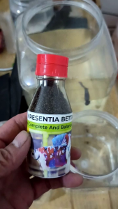 botol gepeng 300 ml tebal food grade isi 6 botol