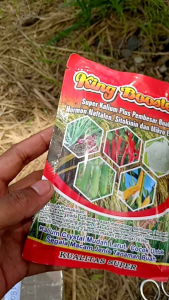 PROMO PUPUK KING BOOSTER PEMBESAR BUAH KEMASAN 150 GRAM TERLARIS DAN TERMURAH