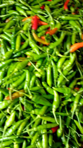 Cabai Rawit Merah Hijau 1KG Segar Super Pedas Langsung Dari Kebun