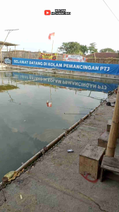 VIRUS ESSEN SUPER IKAN PATIN VARIAN WANGI