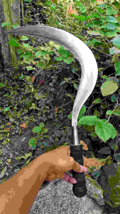 Arit Sabit Rumput-Padi-Ranting Kualitas Super Top Madura