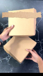 Dus Nasi R8 Uk 18x18x7 KRAFT RENDA 350 Gram & Dus Box Kotak Hampers