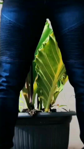 NEW PRODUK CELANA JEANS PANJANG BIKERS SOBEK | TERKINI GOOD QUALITY PRIA TERBARU PRIA PANJANG BAHAN JEANS BERKUALITAS - HARGA TERJANGKAU TERBARU  SLIMFIT PENSIL STREET - JEANS PANJANG TERBARU