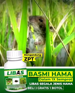 Pupuk Libas Pambasmi Hama & Bakteri Tanaman Terampuh Beli 3 Gratis 1