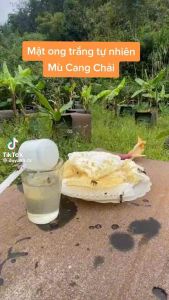 [Freeship] Mật Ong Trắng Mật Từ Hoa Blong SONG Thơm Ngát