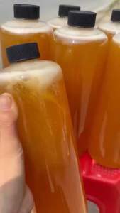 [Chính Hãng] Mật Ong Chuẩn Rừng Tự Nhiên Ở Rừng Lai Châu ( Mật Đá )