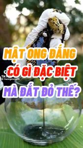 [CHÍNH HÃNG] Mật Ong Đắng 138 ( Một Loại Mật Huyền Bí Tây Bắc )