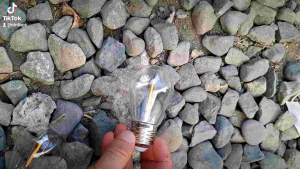 220v String Lights Bulb Replacement 1watt
