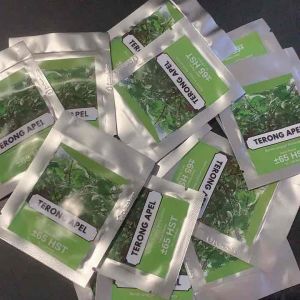 BENIH TERONG APEL KEMASAN EKONOMIS