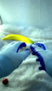 Sarung Tangan Karet Anti Slip / Sarung Tangan Palmfit Proyek Safety