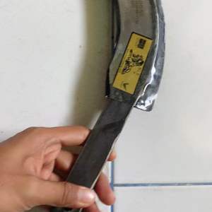 MATA EGREK PALMKING PRO MALAYSIA