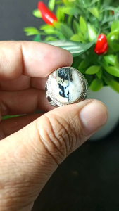 cincin batu akik dendrit motif tumbuhan real picture