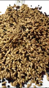 Pakan Racikan Kenari Premium: Pakan Burung Kenari 150 Gram