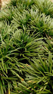 Bingkai 3D frame pigura 3D + dasi untuk kado / pop up / hadiah / scrapbook ulang tahun bday gift farewell perpisahan wisuda wedding