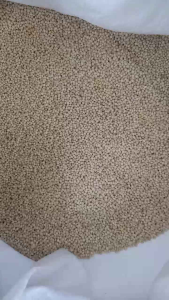 Kambu Putih untuk Burung & Ayam | Pearl Millet | 100% Asli