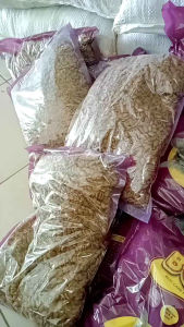 MAKANAN HEWANKUCING BOLT BENTUK IKAN MAKANAN KUCING DEWASA
