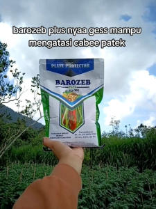 FUNGISIDA BAROZEB PLUS (BAHAN AKTIF TEMBAGA) 9/5 WG | 1 kg