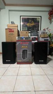 New 2024 Crown RCX-15 15 Inch 2200 Watts PMPO 2-Way Professional Baffle