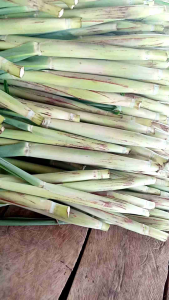 Sayur terubuk. tiwu endog telor tebu sayuran langka
