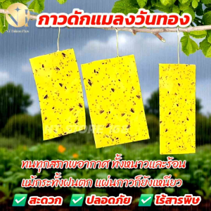 [พร้อมส่ง] กาวดักแมลงวันทอง แผ่นกาว ดักแมลง ไร้สารพิษ! กับดักแมลง กาวเหนียว2ด้าน
