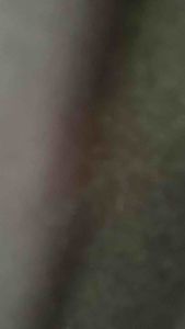 Celana training parasut outdor pria wanita wp