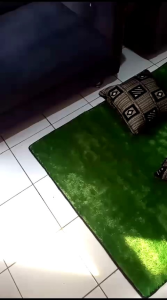 Karpet Tikar Bulu Rasfur Serbaguna Uk 100x180cm