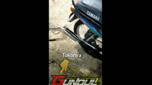 Knalpot Racing Yamaha Alfa Champ: Suara KEMRINCING Garing Perut Hitam PNP