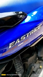 EasyRide Monorack Bracket Stay Grab Bar