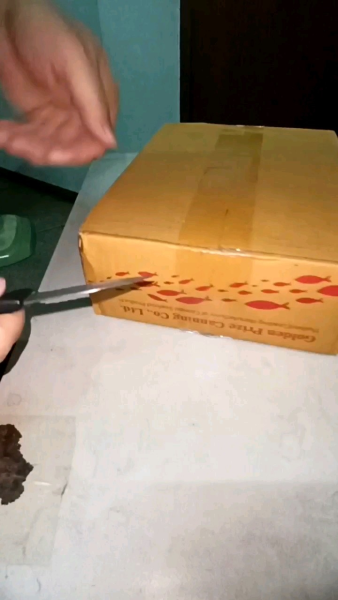 Buyer review video 3