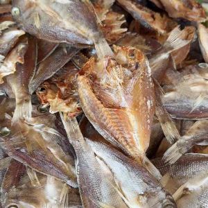 Cebu's Best Dried Tuyo: A Tourist Favorite & Export Quality Delicacy