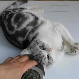 Natural Catnip 2g Premium Catnip Powder for Cats | Pokok Galak Kucing